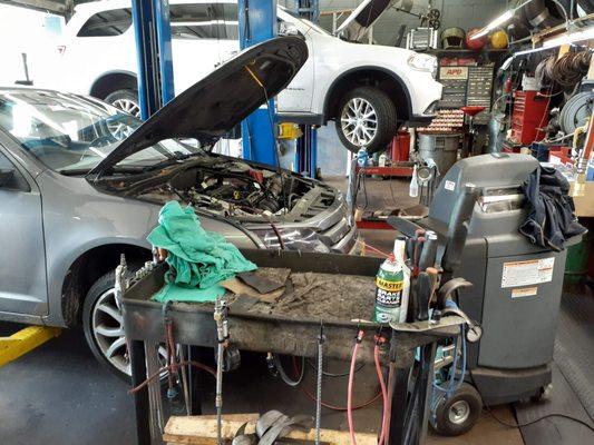 We get your vehicle repaired thoroughly and quickly to get you back on the road as soon as possible.