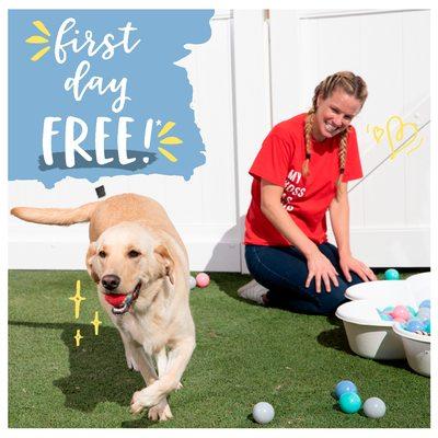 Bring in your pup for their first day of Camp for free!