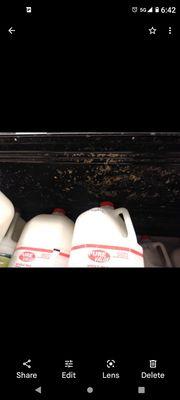 Black mold residue crap from broken unclean freezers and refrigerators off temperature. And with milk !