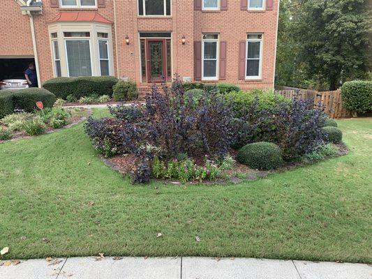 Cool season grass may stay greener longer for example fescue thicker texture keeping it ready for just about any weather shade grass.