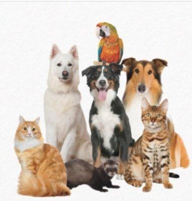 Manitou Pet Services