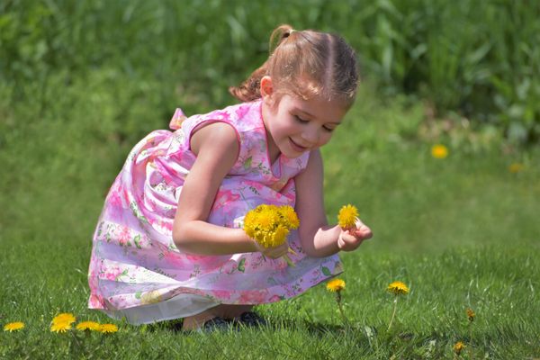 a small girl picking flowers