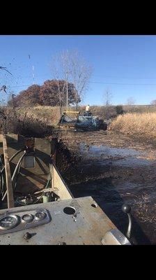 Cattail & Bog Removal and Cutting