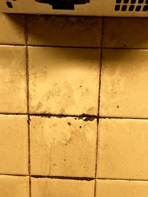 Mold in the bathroom