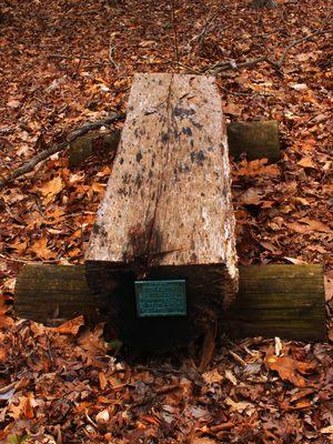 A bench in memory of Ann Messick for devotion and help given to the preserve.