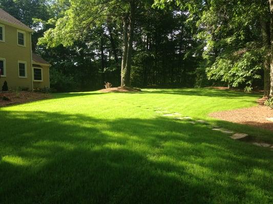 New Lawn Install- May 2016