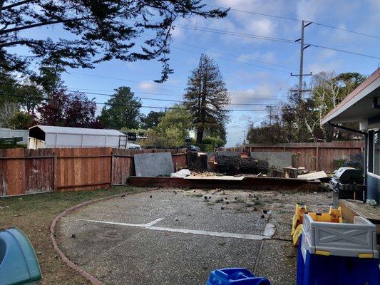 Pine Tree Removal. Trimmed stump all the way down after this photo.