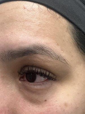 lash fill hybrid