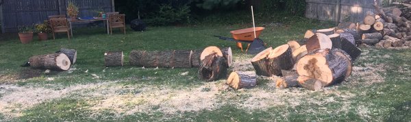 Half of the trees in the backyard left without stacking.