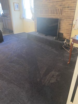 Royal blue wall-to-wall carpet in family room