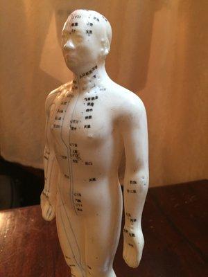 acupuncture figurine model