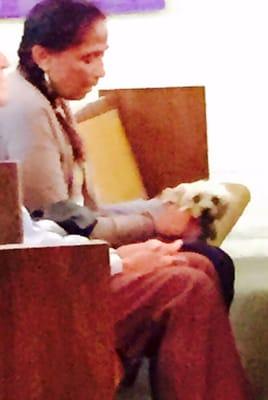 Dogs in church. My dreams come true.