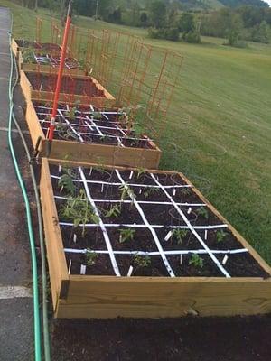 St. Mary's Community Garden