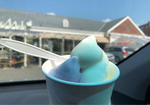 Small Frozen Yogurt (plain & taro)