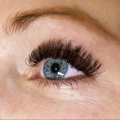 Mega Volume lashes