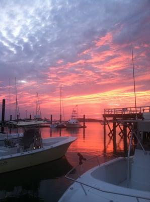 This is why we come to Sunset Bay Marina for dinner