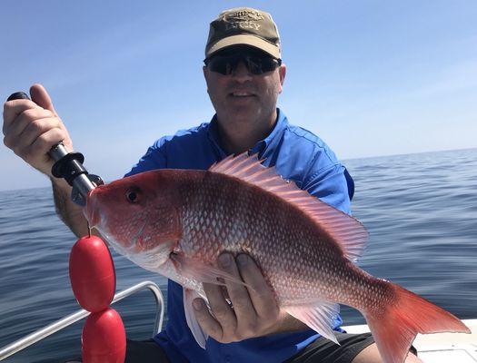 Amazing Red Snapper