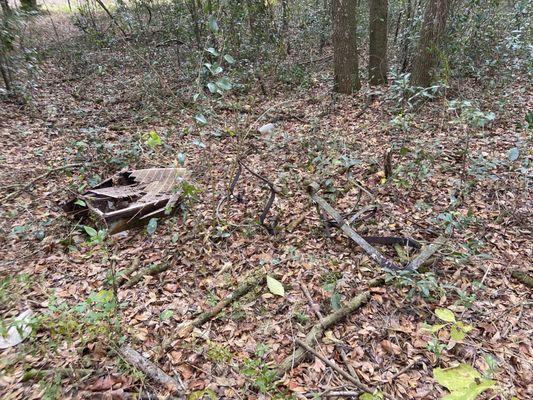 Example of trash dumped in one portion of cemetery