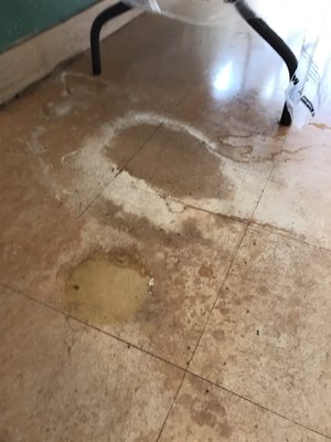 Nasty juice stains dried on the floor. Collects and rarely gets cleaned