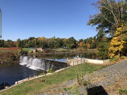 Paradise Pond