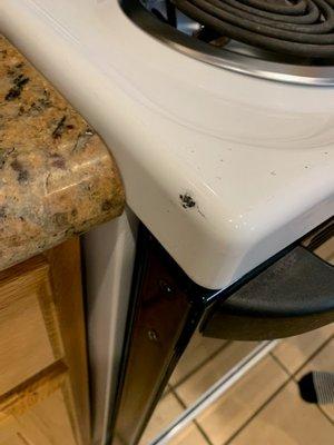 Moving damage on "new" stove