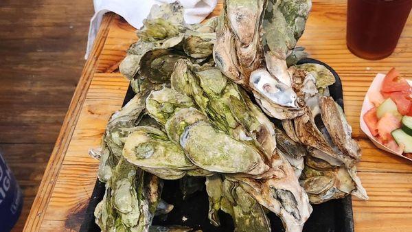 A perfect tray of steamed oysters!