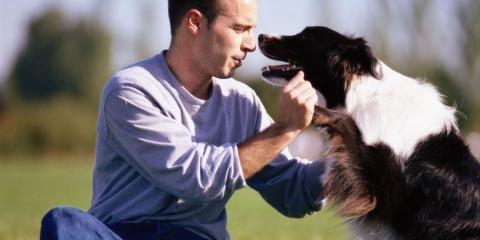 Rice Lake Animal Hospital