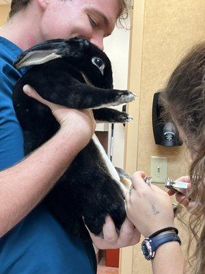 Shiloh-Spirit getting a mani-pedi from the great staff.