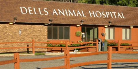 Janelle Keefer - Dells Animal Hospital