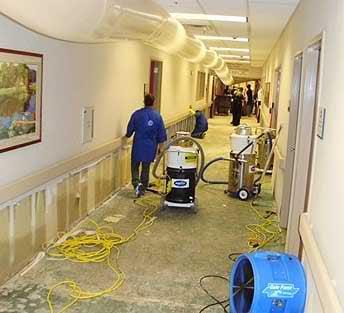 Torrance Water Damage Repair Company