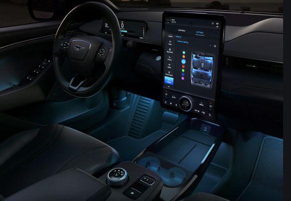 2020 Mustang Mach E Interior