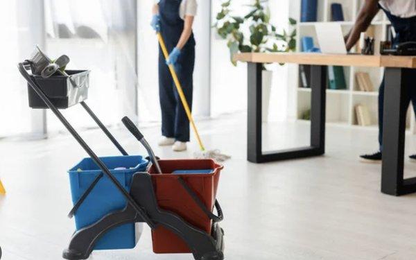 Professional Home Cleaning