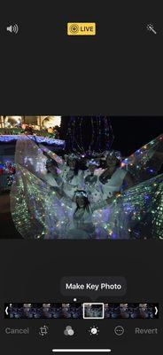 Christmas 2018 Oxnard Plaza Park Lightening up the tree lights