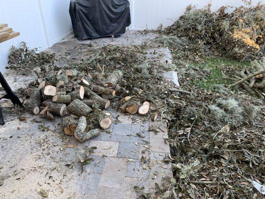 Orlando: Tree Debris Removal