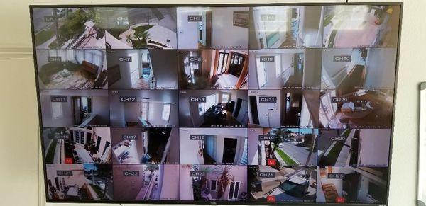 IP cameras