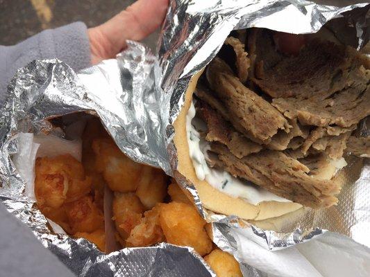 Gyro & fried cheese curds