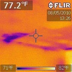 IR thermal imaging makes vivid wet ceiling drywall that was not visible to naked eye.