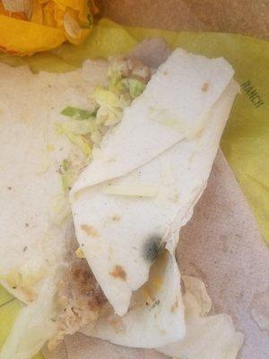 Moldy snack wrap from McDonald's