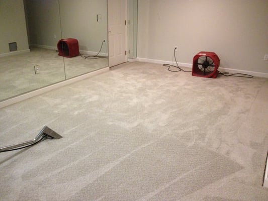 We specialize in water damage clean up