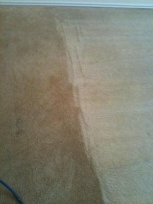 New Technology means new results, no chemical residue can still produce amazingly clean carpet.