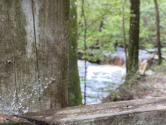 spiderweb with water droplets with waterfall in background