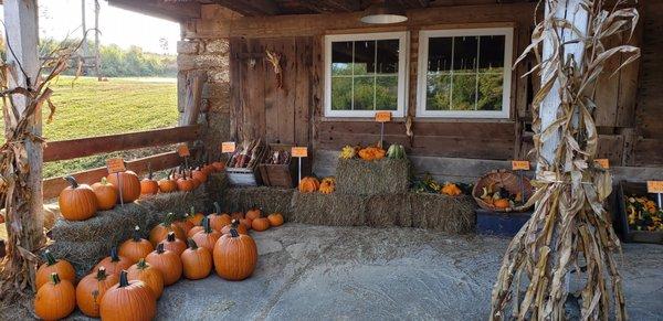 Old Forge Family Farm