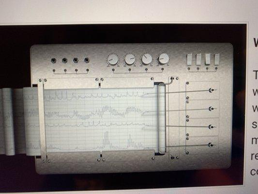 CORNERSTONE POLYGRAPH