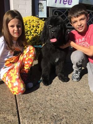 My grandkids, Stella and Aidan helping me train Owen