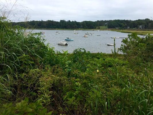 All way down, at the other end of Meadow on The Cove, overlooking the Orleans Town Cove.