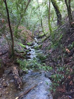 Hoodoo Creek