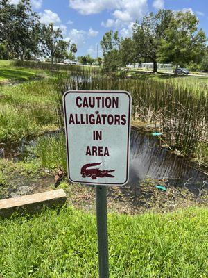 I saw some ducks and Ibis, but no gators.