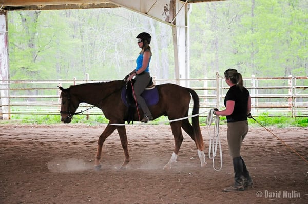 Deanna Thompson Dressage