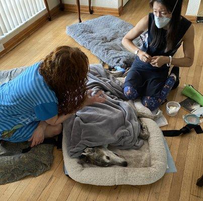 My wife saying goodbye to our beloved Bentley.