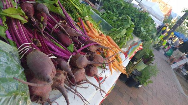 Sleeping Frog Farms, always proving amazing roots!